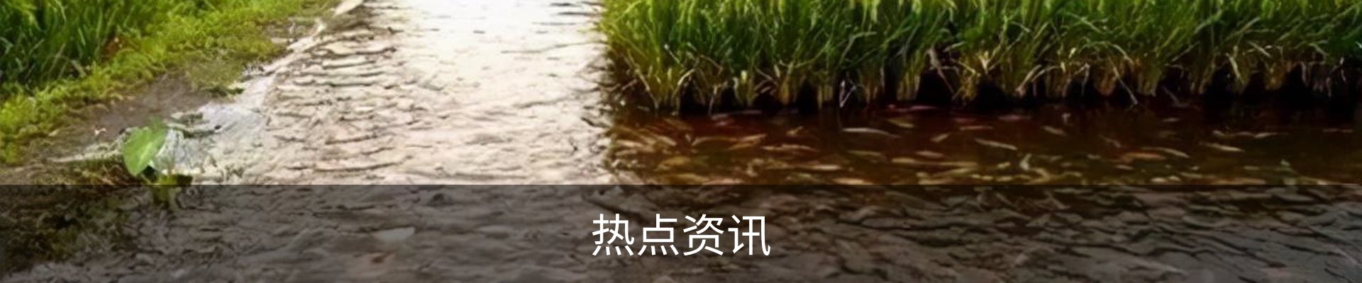 热点资讯