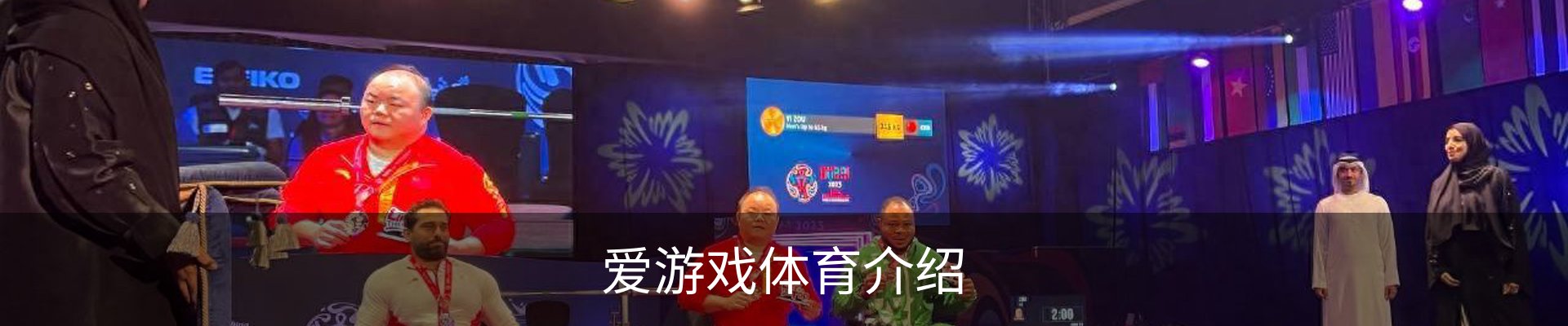 爱游戏体育介绍